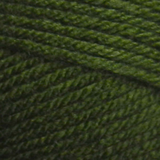 Everyday Worsted 100-08 Pine Green. Anti-Pilling Acrylic from Premier Yarns.